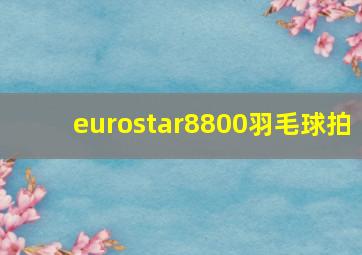 eurostar8800羽毛球拍