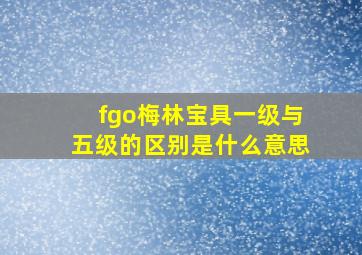 fgo梅林宝具一级与五级的区别是什么意思