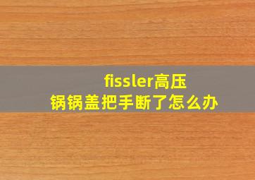 fissler高压锅锅盖把手断了怎么办