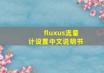 fluxus流量计设置中文说明书