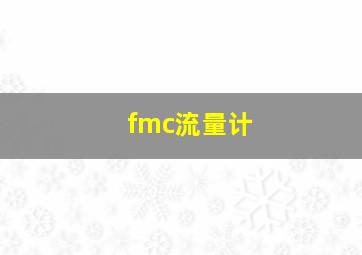 fmc流量计