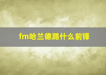 fm哈兰德踢什么前锋