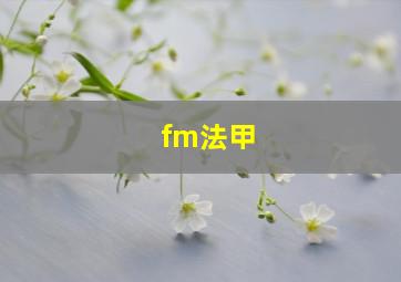 fm法甲