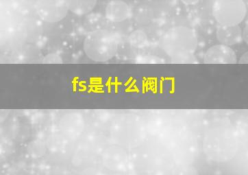 fs是什么阀门