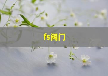 fs阀门