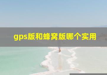 gps版和蜂窝版哪个实用