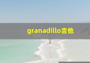 granadillo吉他