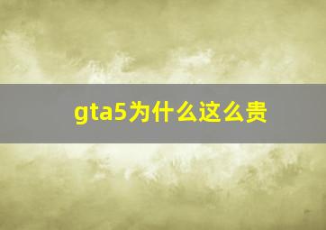 gta5为什么这么贵