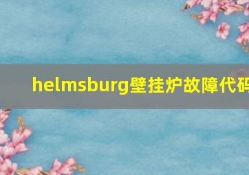 helmsburg壁挂炉故障代码