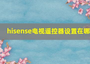 hisense电视遥控器设置在哪