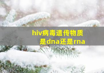 hiv病毒遗传物质是dna还是rna