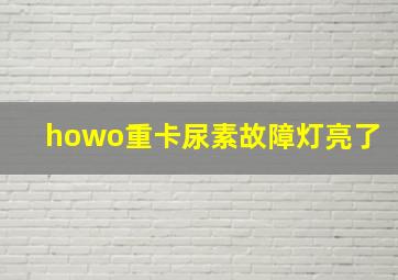 howo重卡尿素故障灯亮了