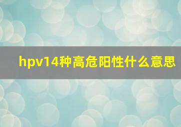 hpv14种高危阳性什么意思