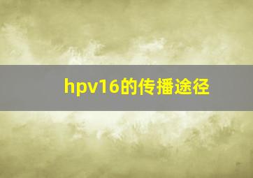 hpv16的传播途径