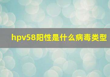 hpv58阳性是什么病毒类型