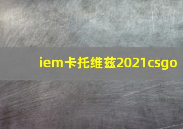 iem卡托维兹2021csgo