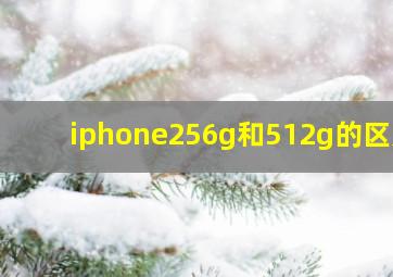 iphone256g和512g的区别