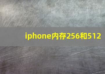 iphone内存256和512