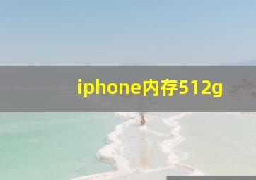 iphone内存512g