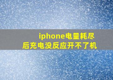 iphone电量耗尽后充电没反应开不了机