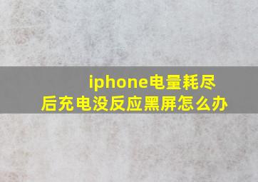 iphone电量耗尽后充电没反应黑屏怎么办