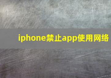 iphone禁止app使用网络