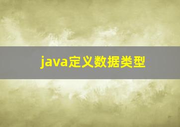 java定义数据类型