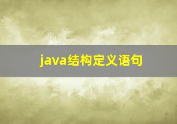 java结构定义语句