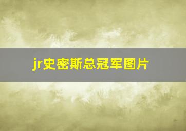 jr史密斯总冠军图片