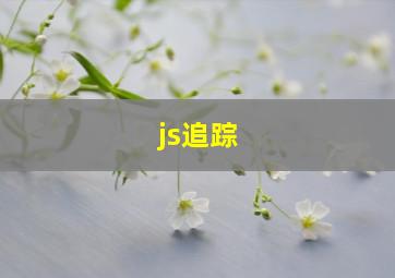 js追踪