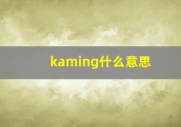 kaming什么意思