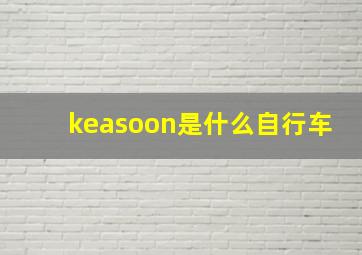 keasoon是什么自行车