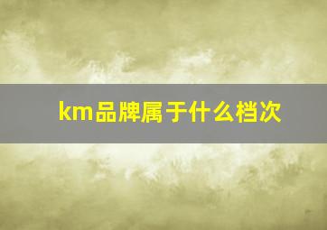 km品牌属于什么档次