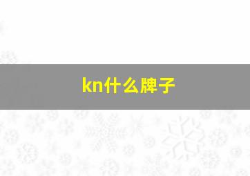 kn什么牌子