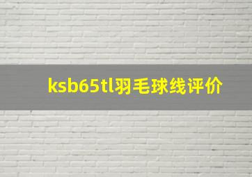 ksb65tl羽毛球线评价