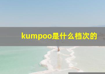 kumpoo是什么档次的