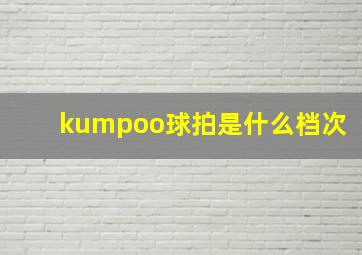 kumpoo球拍是什么档次