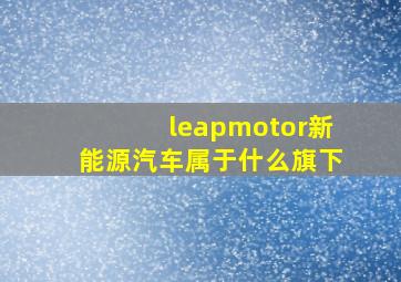 leapmotor新能源汽车属于什么旗下