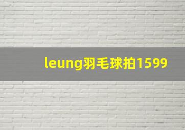 leung羽毛球拍1599