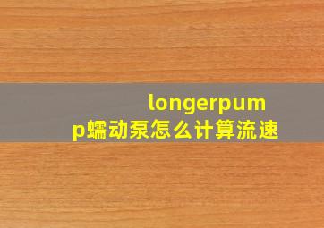 longerpump蠕动泵怎么计算流速