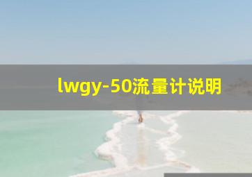 lwgy-50流量计说明