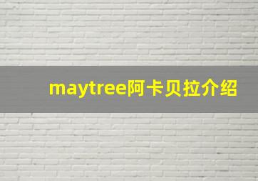 maytree阿卡贝拉介绍