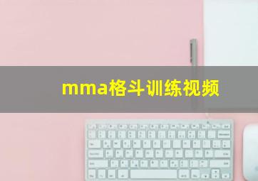 mma格斗训练视频