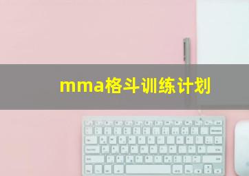 mma格斗训练计划