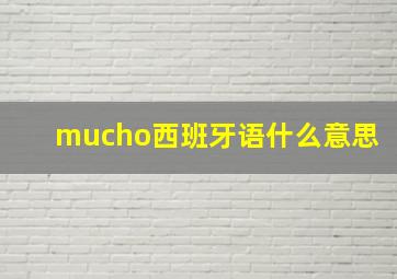 mucho西班牙语什么意思