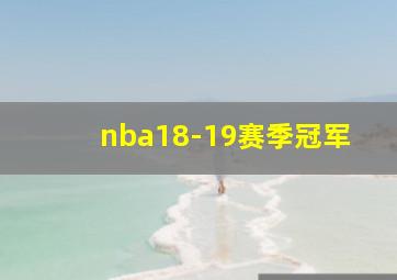 nba18-19赛季冠军