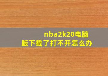 nba2k20电脑版下载了打不开怎么办