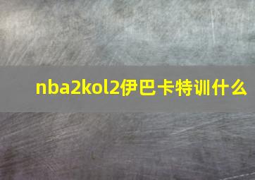 nba2kol2伊巴卡特训什么