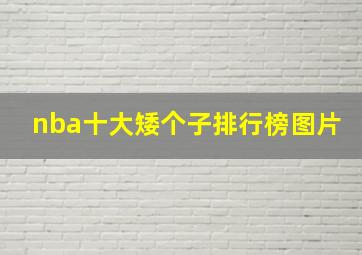 nba十大矮个子排行榜图片