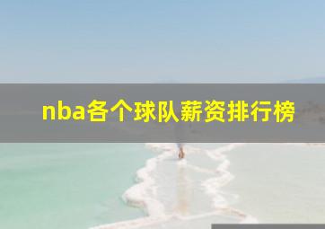 nba各个球队薪资排行榜